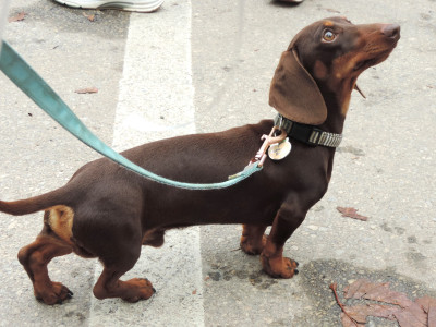 2021 Paint The Trail Purple Event