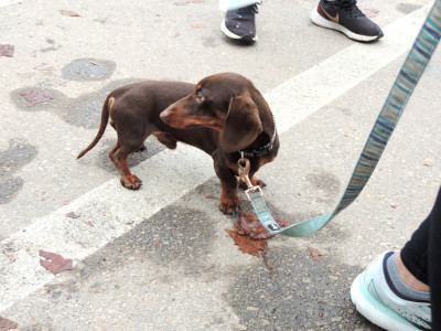 2021 Paint The Trail Purple Event