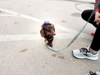 2021 Paint The Trail Purple Event