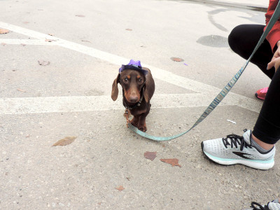 2021 Paint The Trail Purple Event