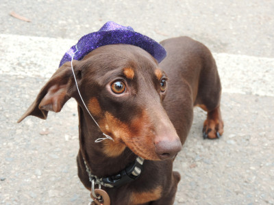 2021 Paint The Trail Purple Event