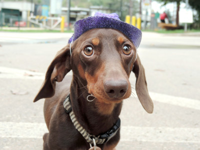 2021 Paint The Trail Purple Event