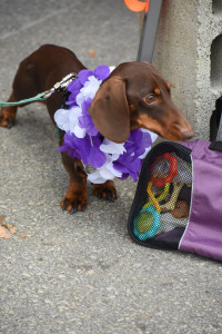 2023 Paint The Trail Purple Event Photo