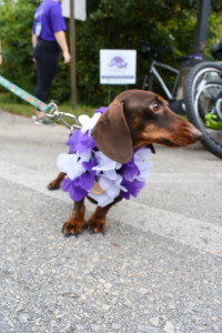 2023 Paint The Trail Purple Event Photo