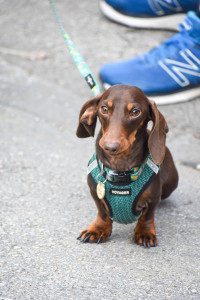 2023 Paint The Trail Purple Event Photo