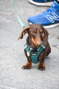 2023 Paint The Trail Purple Event Photo