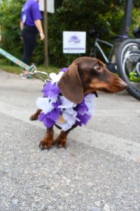 2023 Paint The Trail Purple Event Photo